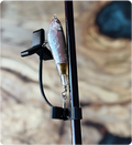 Treble Guard | Set of 2